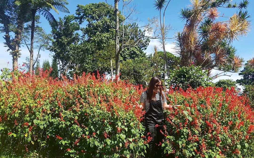 nature-gives-us-peace-of-mind-nicawanderlust